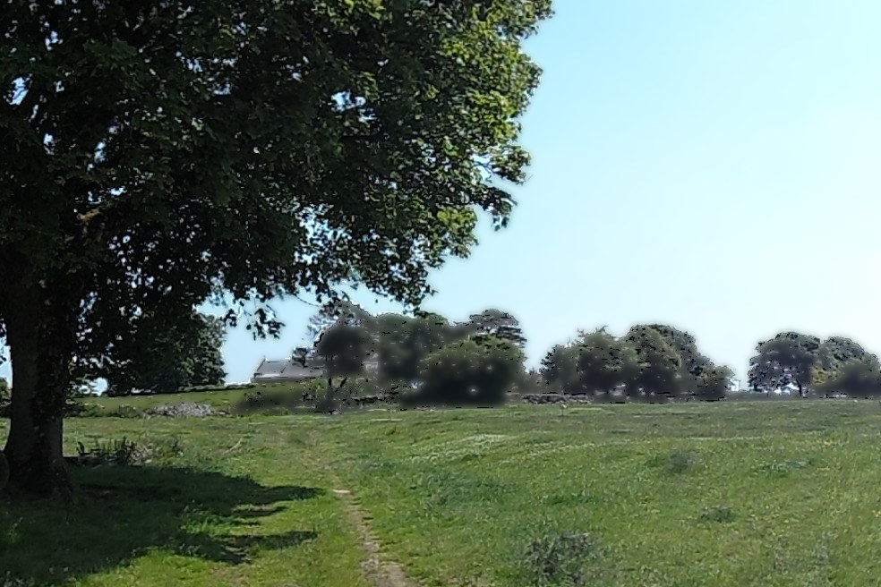 A big tree and a field with a house in the distance..